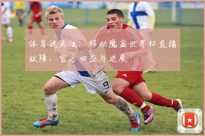 体育迷关注：移动魔盒世界杯直播故障，官方回应与进展