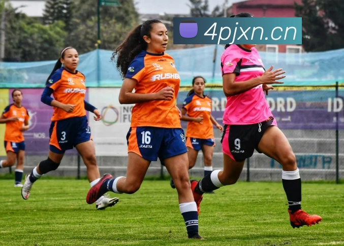 《九游》官方网站服务体系